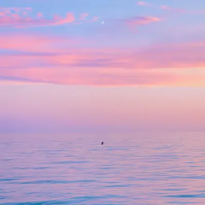 Sunsets in Paradise