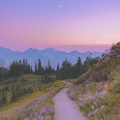 Follow the Moon