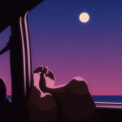 Night drive