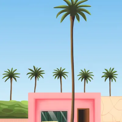 Palm Parking