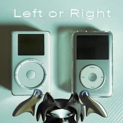 Left or Right 