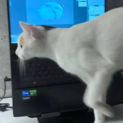I don't care if you‘re working