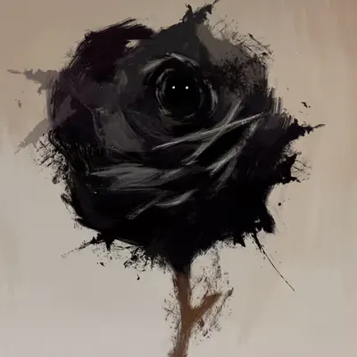 A very very dark rose