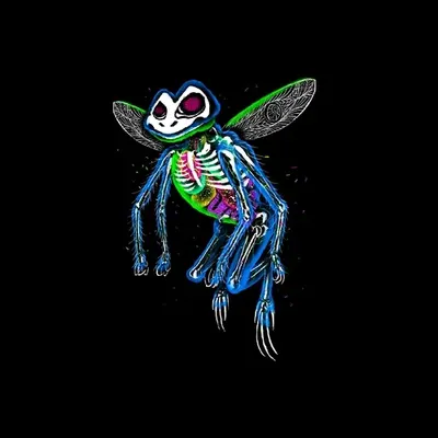 Xytio Frog