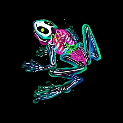 Riverday Frog