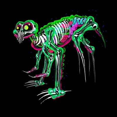 Arnump Frog