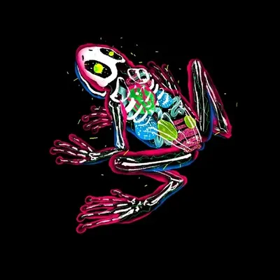 Lightilly Red Frog