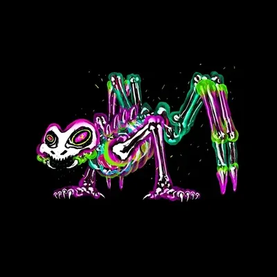 Spidetar Frog