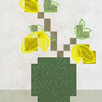 Lemon Tree