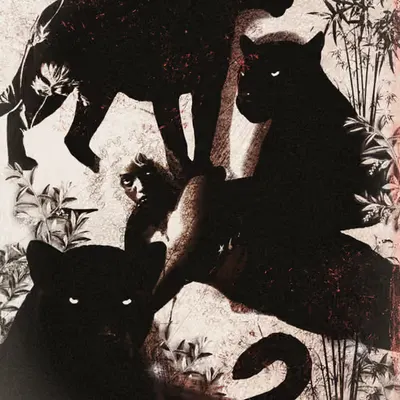Panthera