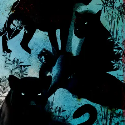 Panthera cool