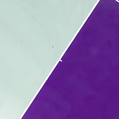 Elements 10