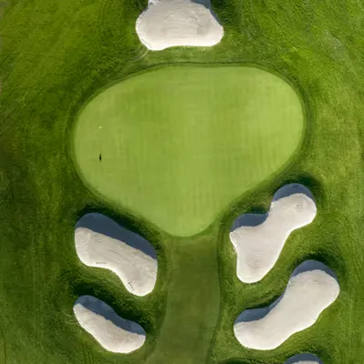 The Green