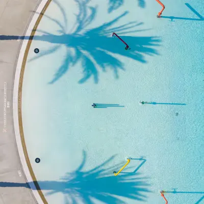 Palms
