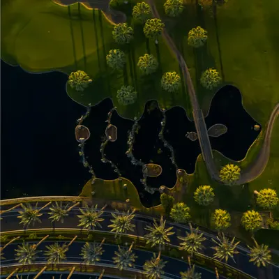 Generative Golf