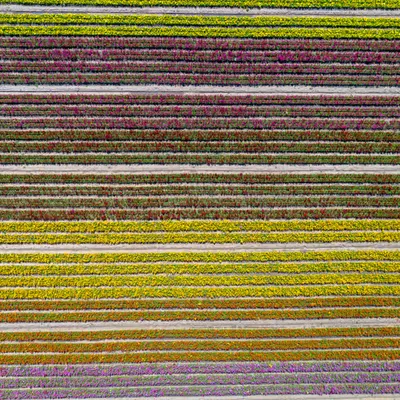 Rainbow Layers