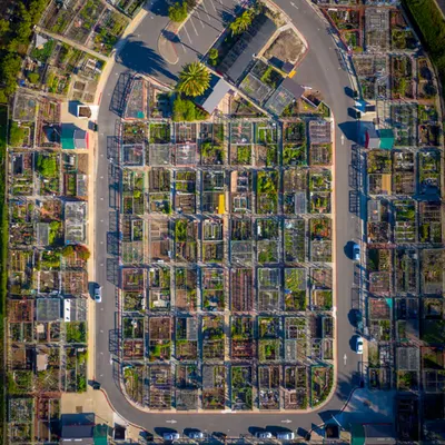 Garden Blocks