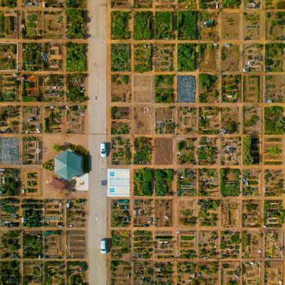 Garden Gridlock