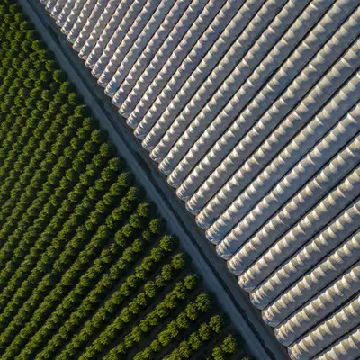 Abstract Farming