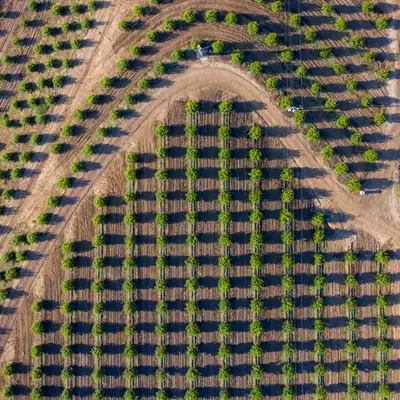 Rolling Fields