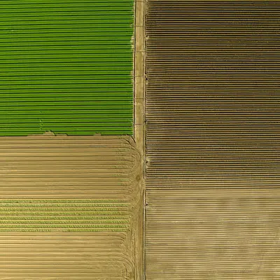 TILE 16