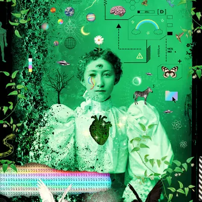 data • dazzle 