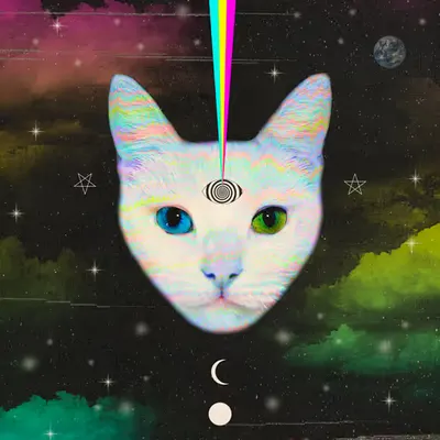 Good Fortune Feline