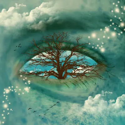 Rooted