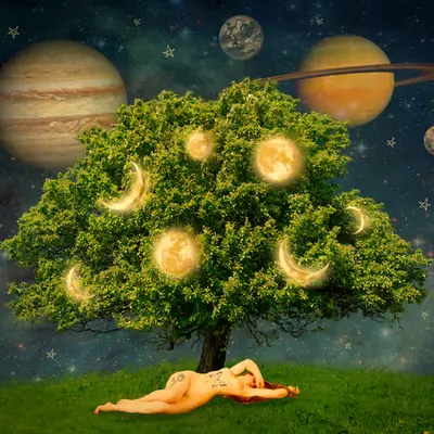 Midnight Under the Moon Tree