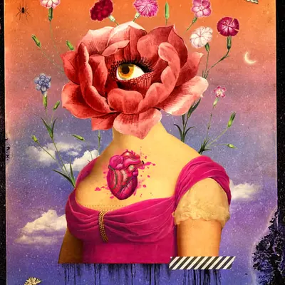 Wallflower