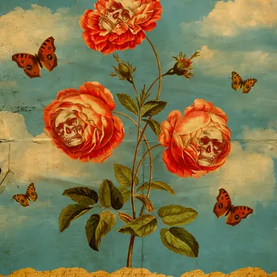 Perished Petals