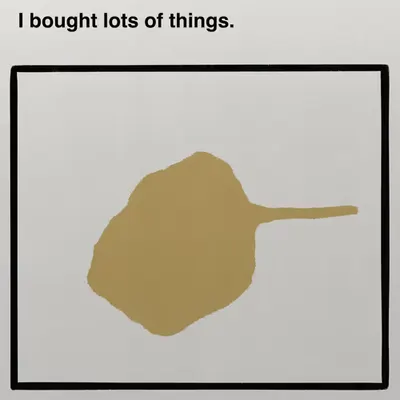 I bought lots of things.