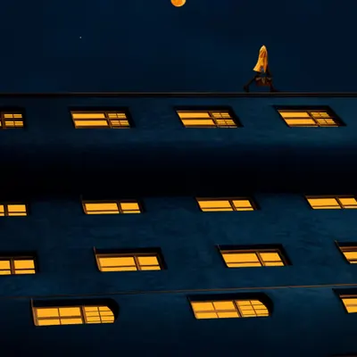 THE OPPORTUNITY