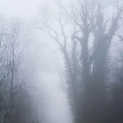 Uphill