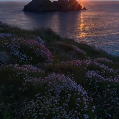 End of the Day