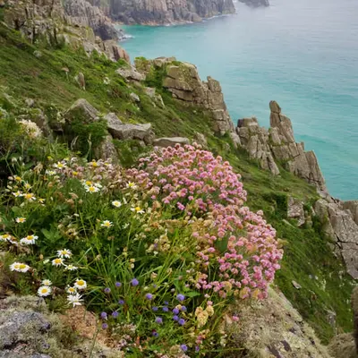 Cornish Coastal Charm