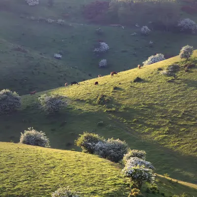 Peaceful Valley