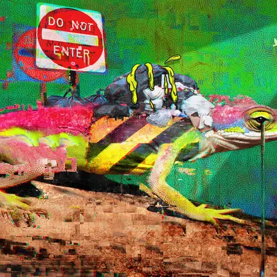 The Displaced and Voiceless #3 - Do Not Enter