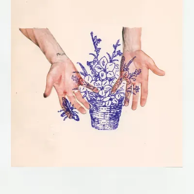sowing the seeds of love
