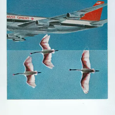 how i learned to fly