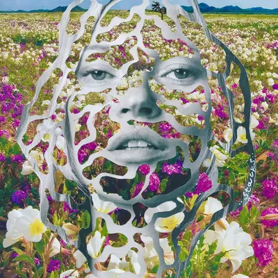 HIDDEN IN THE FIELDS