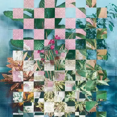 HOUSE PLANTS