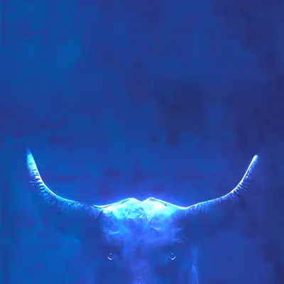 BLeU BuLL