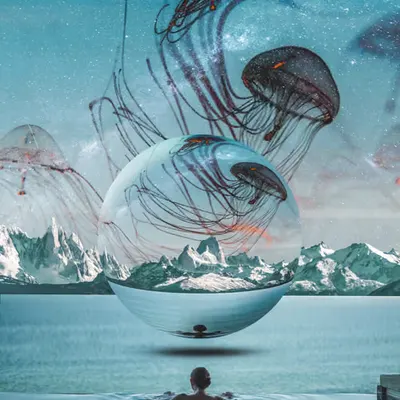 observing the cosmic manifestation