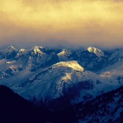 The Color Of Silence