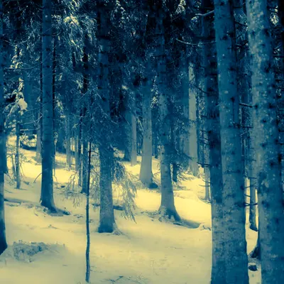 In The Haze Of Becoming