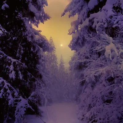 Wherever You Are, I Will Follow
