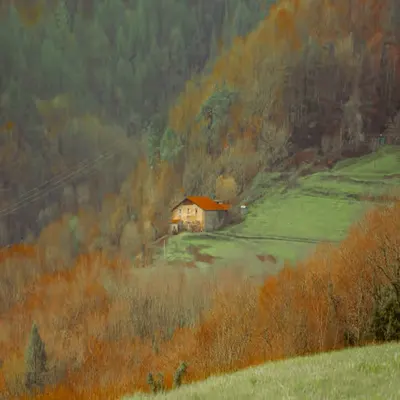 The Home