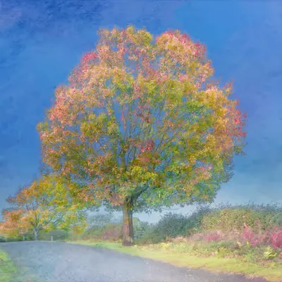 The sound of seasons