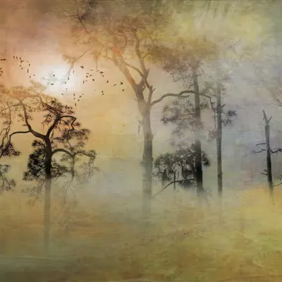 REVERIE